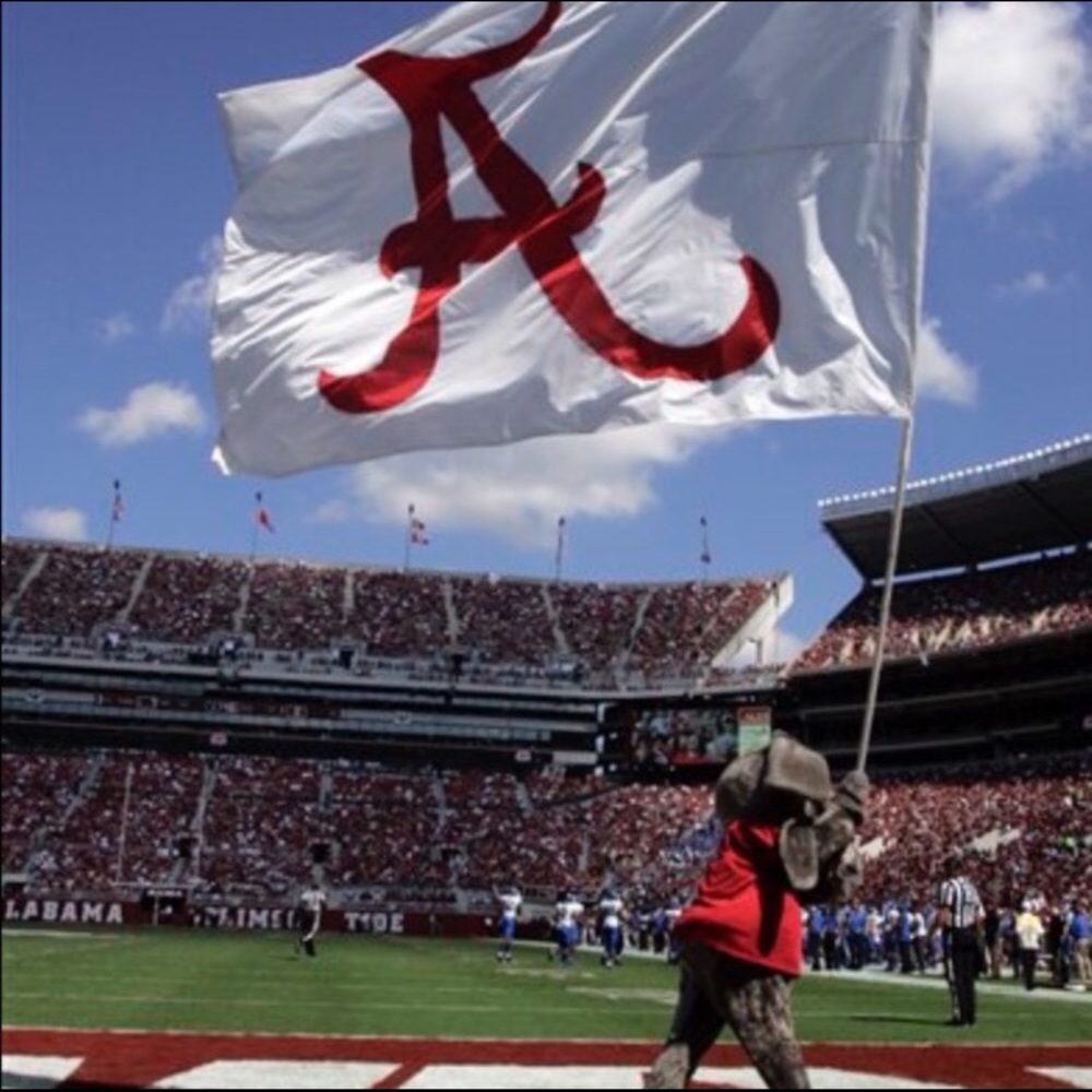 Meet Your Posher Listing - Picture 8 of 8